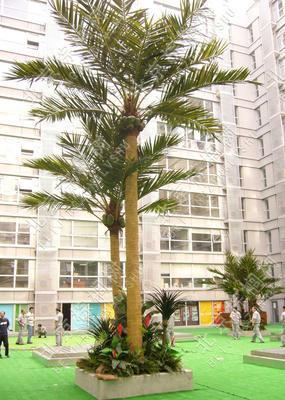 銀川高質量仿真椰子樹產(chǎn)品，為城市景觀增添熱帶風情