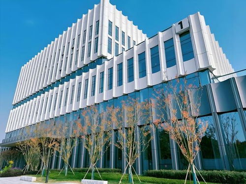 京東方成都智慧系統創新中心圓滿竣工，賦能蓉城智慧產業發展